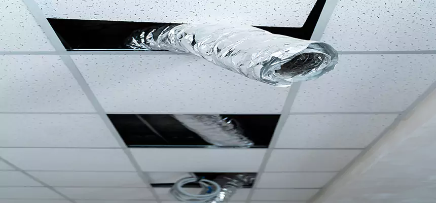 Our Air Duct Pet Hair Removal Services in South Pasadena, CA