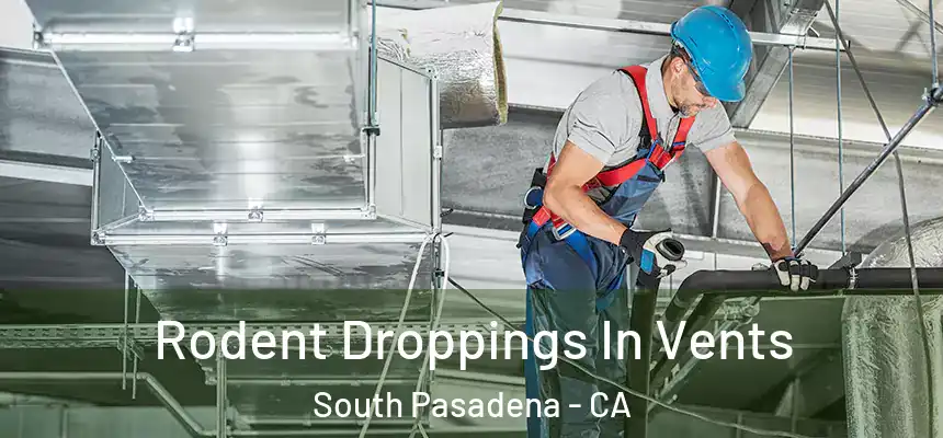  Rodent Droppings In Vents South Pasadena - CA