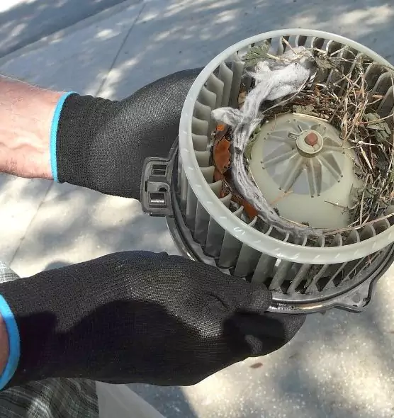 About Air Duct Mice Removal in South Pasadena, CA