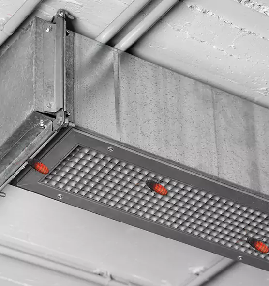 Affordable Insect Removal from Air Ducts in South Pasadena, CA