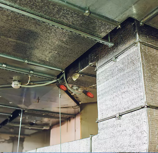 Why Homeowners & Businesses Trust Us in South Pasadena, CA?