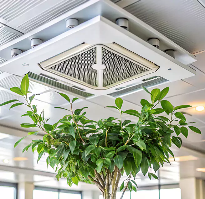 Why Homeowners & Businesses Trust Us in South Pasadena, CA?