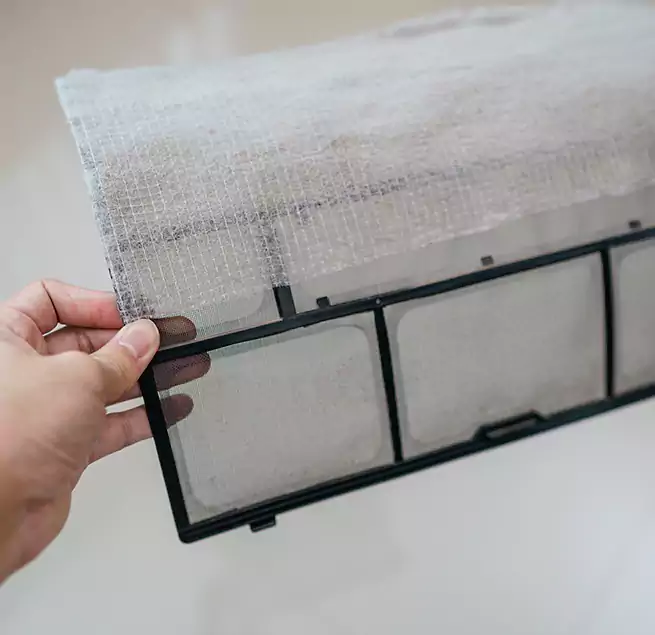 Why Homeowners & Businesses Trust Us in South Pasadena, CA?